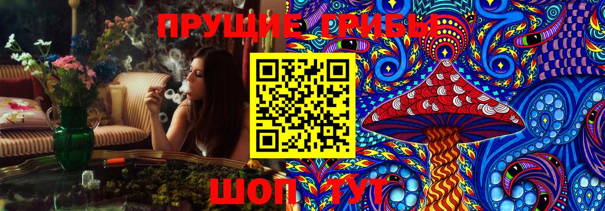 Киров  Псилоцибиновые грибы GOLDEN TEACHER  Вход с VPN 